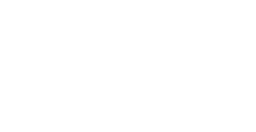Silicon Valley Europe Member Logo